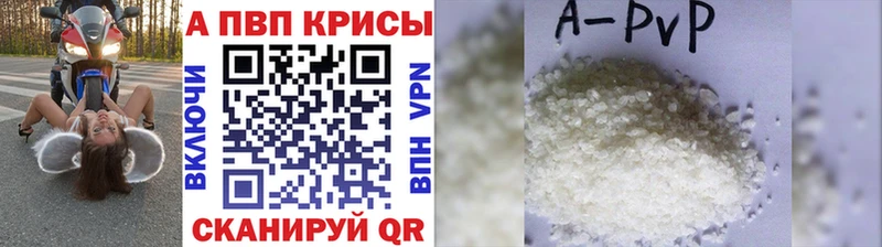 shop как зайти  цена   Полярные Зори  A PVP крисы CK 