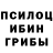 Псилоцибиновые грибы Psilocybine cubensis Vlad Zalozny
