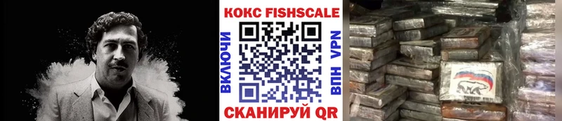 МЕГА ССЫЛКА  Полярные Зори  Кокаин Эквадор  darknet телеграм  купить  