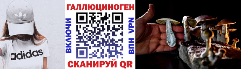 MEGA ссылка  Полярные Зори  Галлюциногенные грибы прущие грибы 